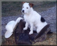 Marly in the saddle 