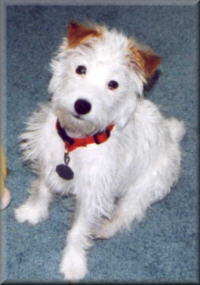 Longbranch Lucy