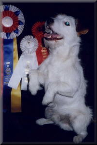 Marley Go-To-Ground Champion, 1999