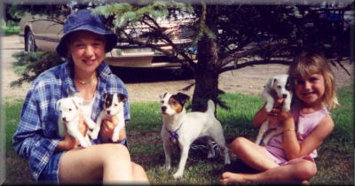 Jack Russells are the happiest just to be your best little buddy. 